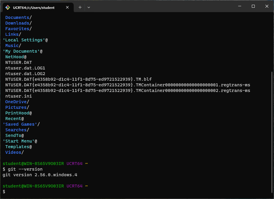 Git Bash running in Windows Terminal