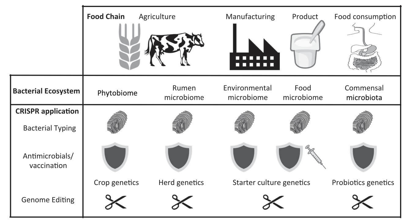 What can it be used for?