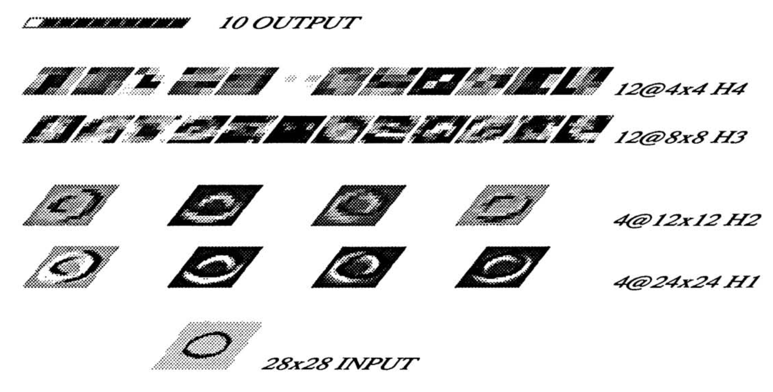 The complete network as illustrated by the paper